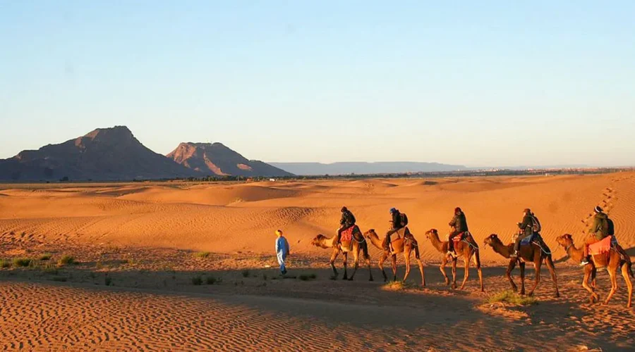 A group of individuals riding camels across a vast desert landscape under a clear blue sky.
