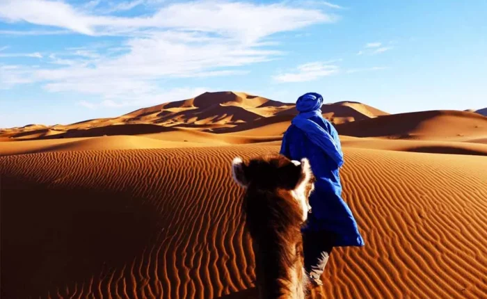 A man dressed in blue walks alone through a vast, arid desert landscape under a clear sky.