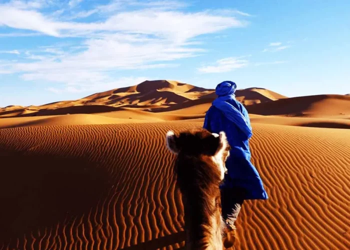 A man dressed in blue walks alone through a vast, arid desert landscape under a clear sky.